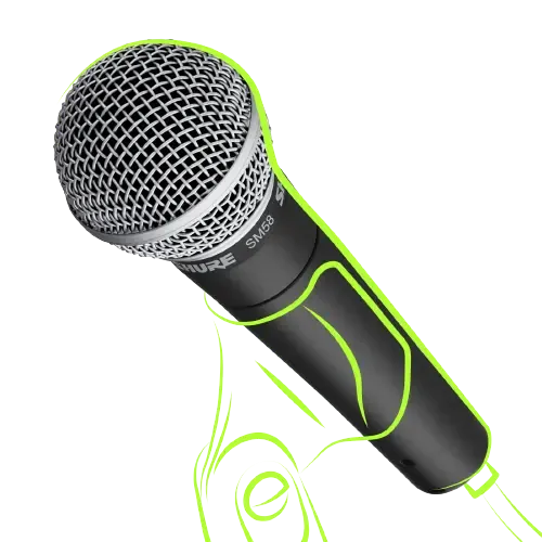 Shure SM58 microphone